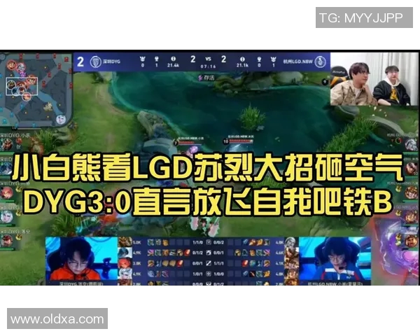 探索DYG苏烈体系的战术优势与团队协作策略解析 探索DYG苏烈体系的战术优势与团队协作策略解析