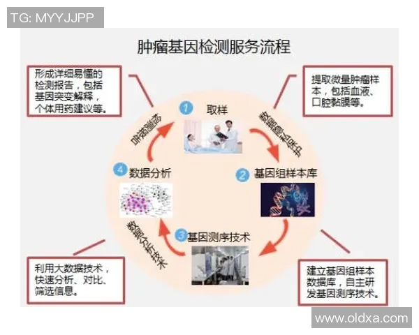 探索Elk收割的最佳实践与应用案例分析