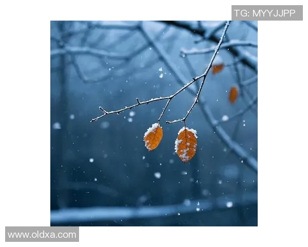 小寒时节情感纠葛加剧心灵创伤愈发明显的故事探讨